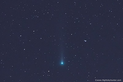 Comet C/2021 A1 Leonard